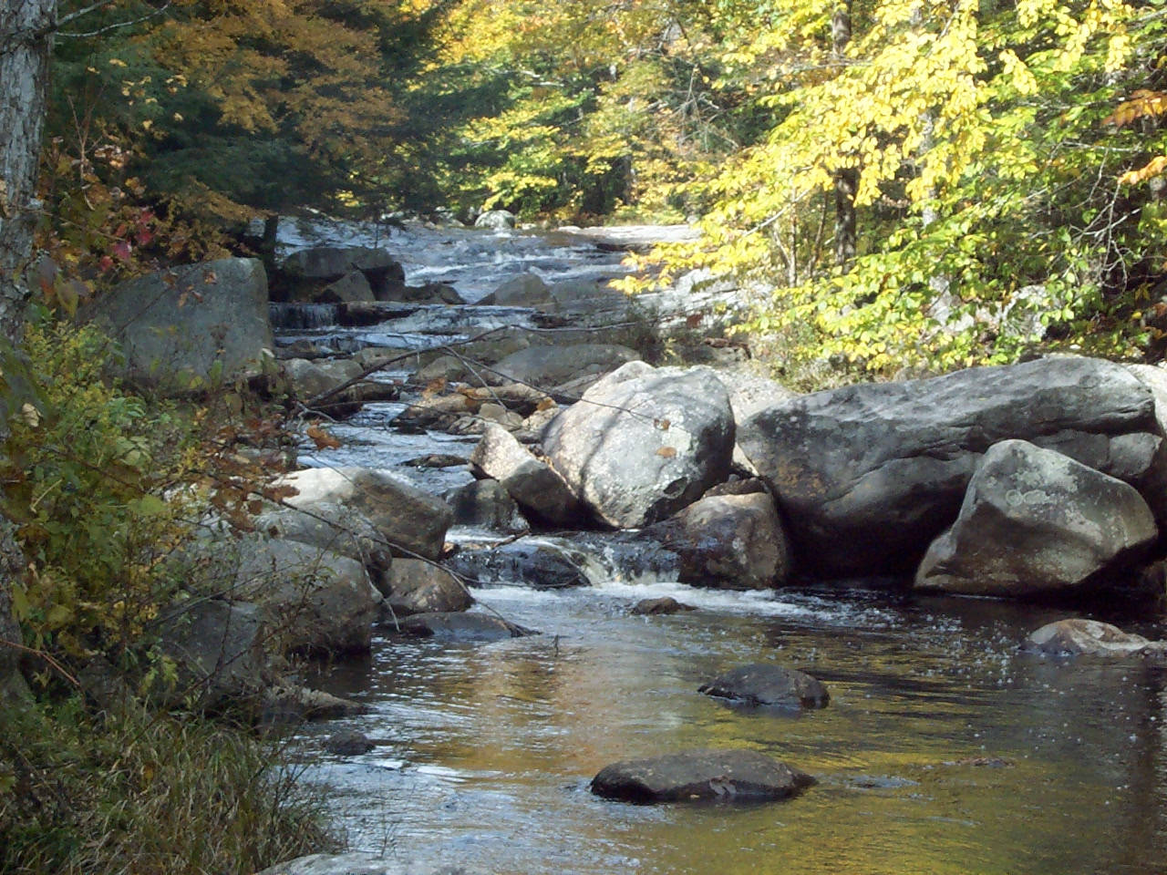 Granville state forst 3